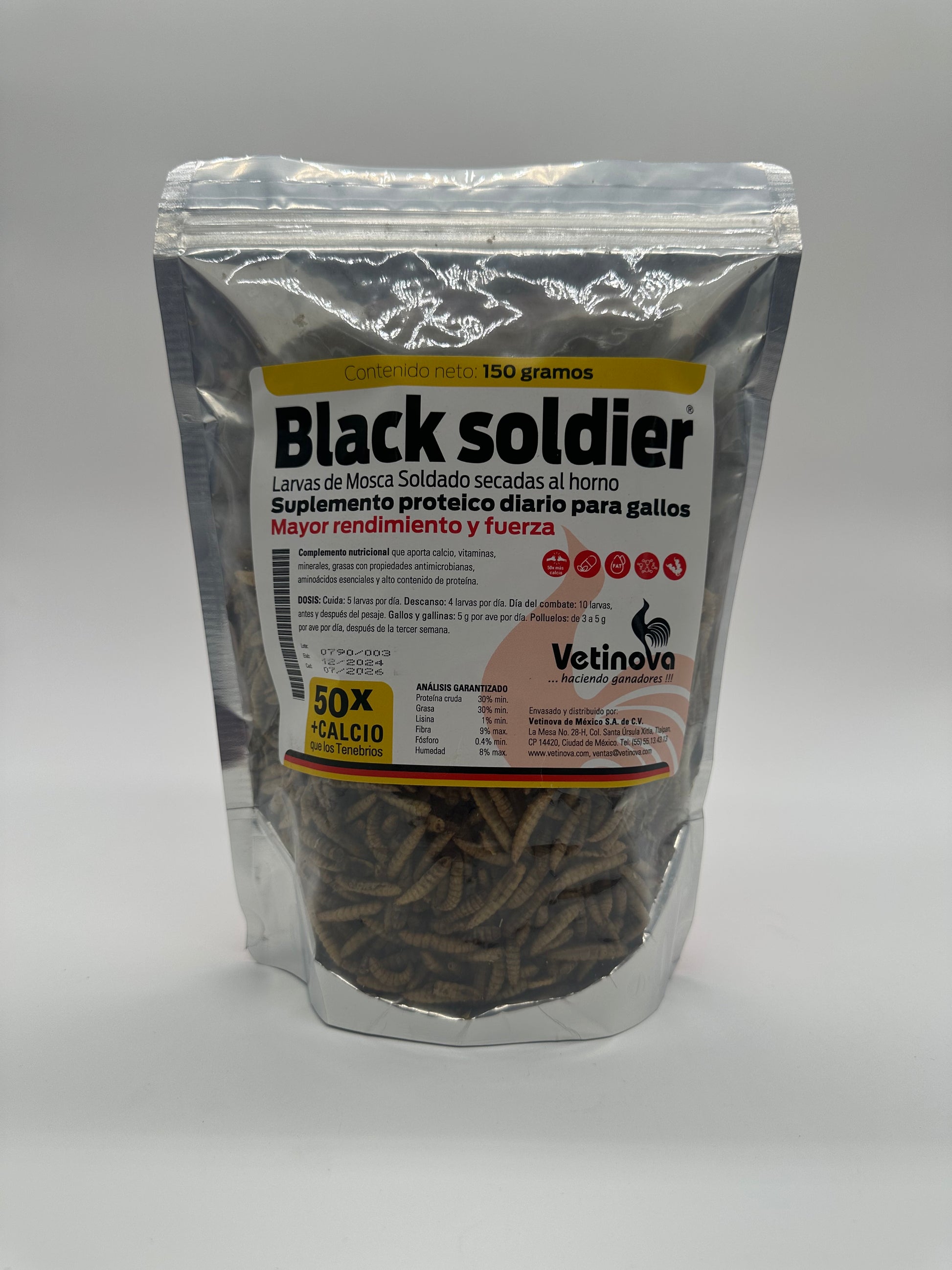 Black soldier