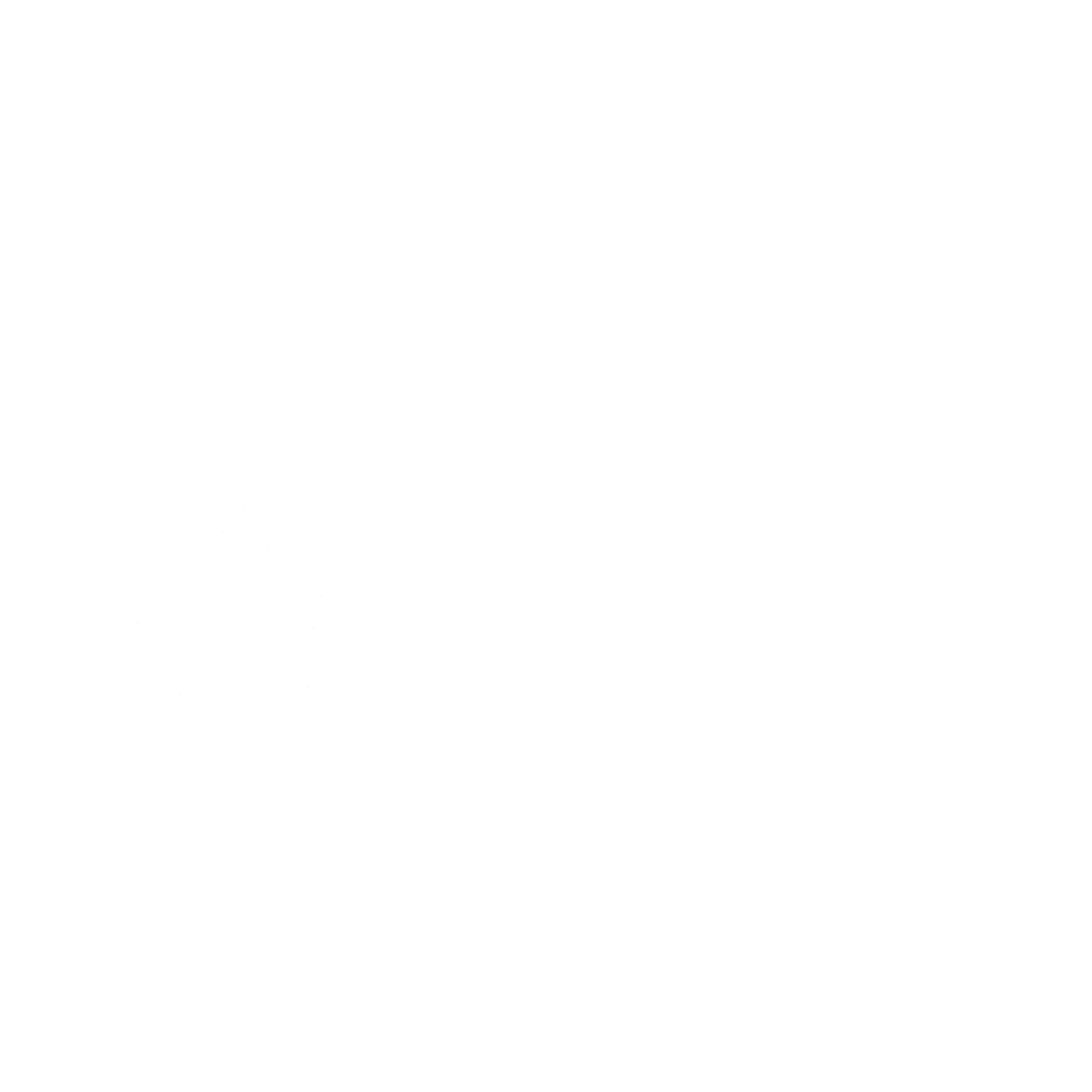 El campeón 