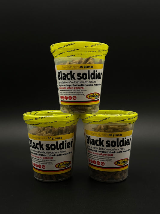 Black soldier